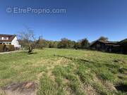 Terrain à BERTRICHAMPS