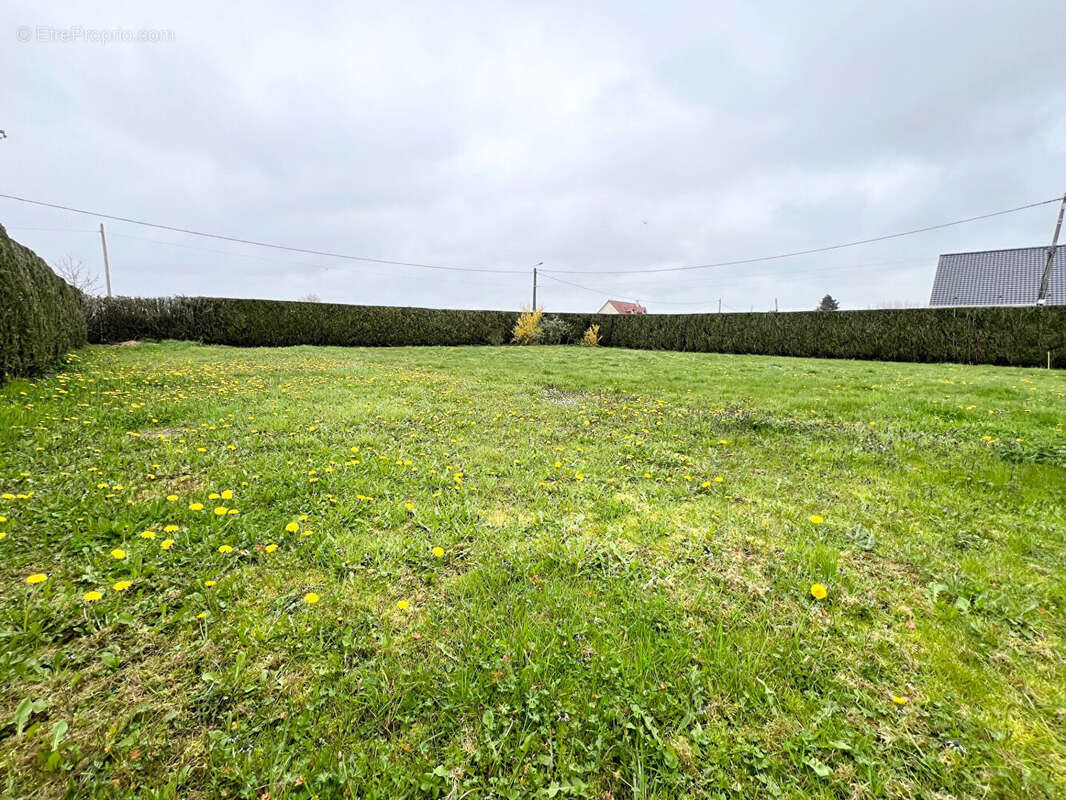 Terrain à BUSNES