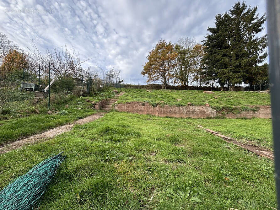 Maison à PHALSBOURG