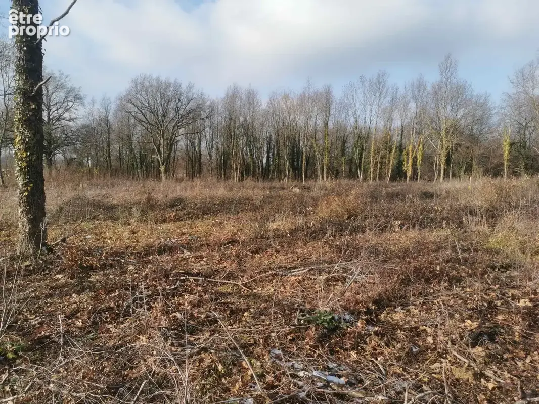 Terrain à SAINT-ETIENNE-DE-VICQ