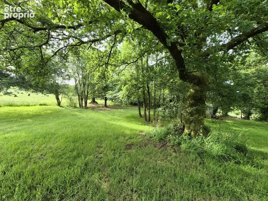 ncien Presbytère de Charme avec beaux volumes et terrain att - photo 8