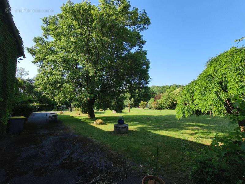 Ancien corps de ferme rénové  avec terrasses piscine et dependances  sur 8700 m2 - photo 17