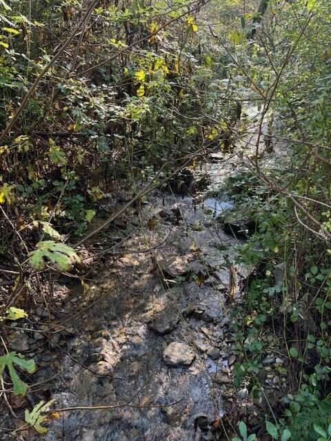 Maison à LES SALLES-DU-GARDON