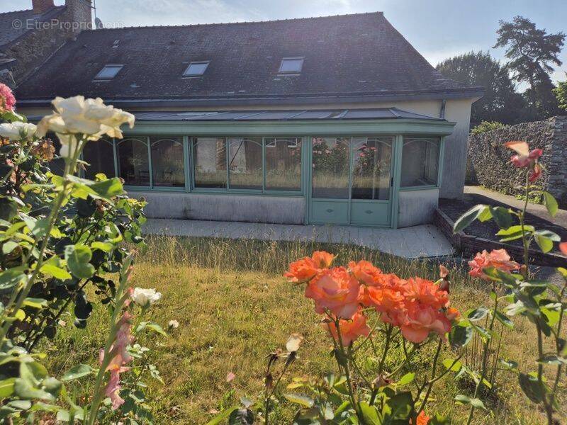 Maison à POUANCE