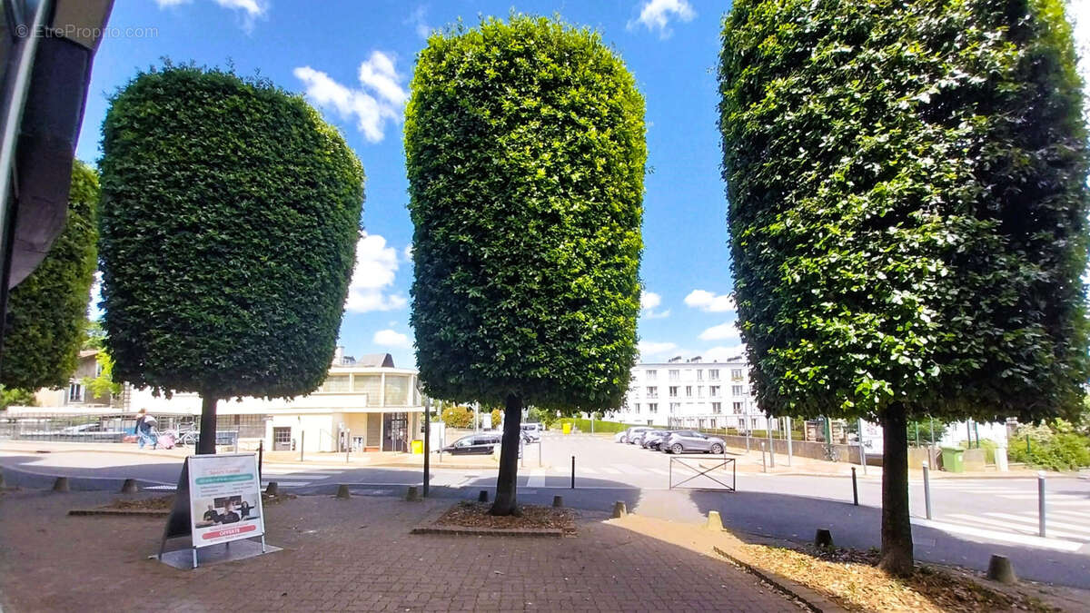 Commerce à MEUDON