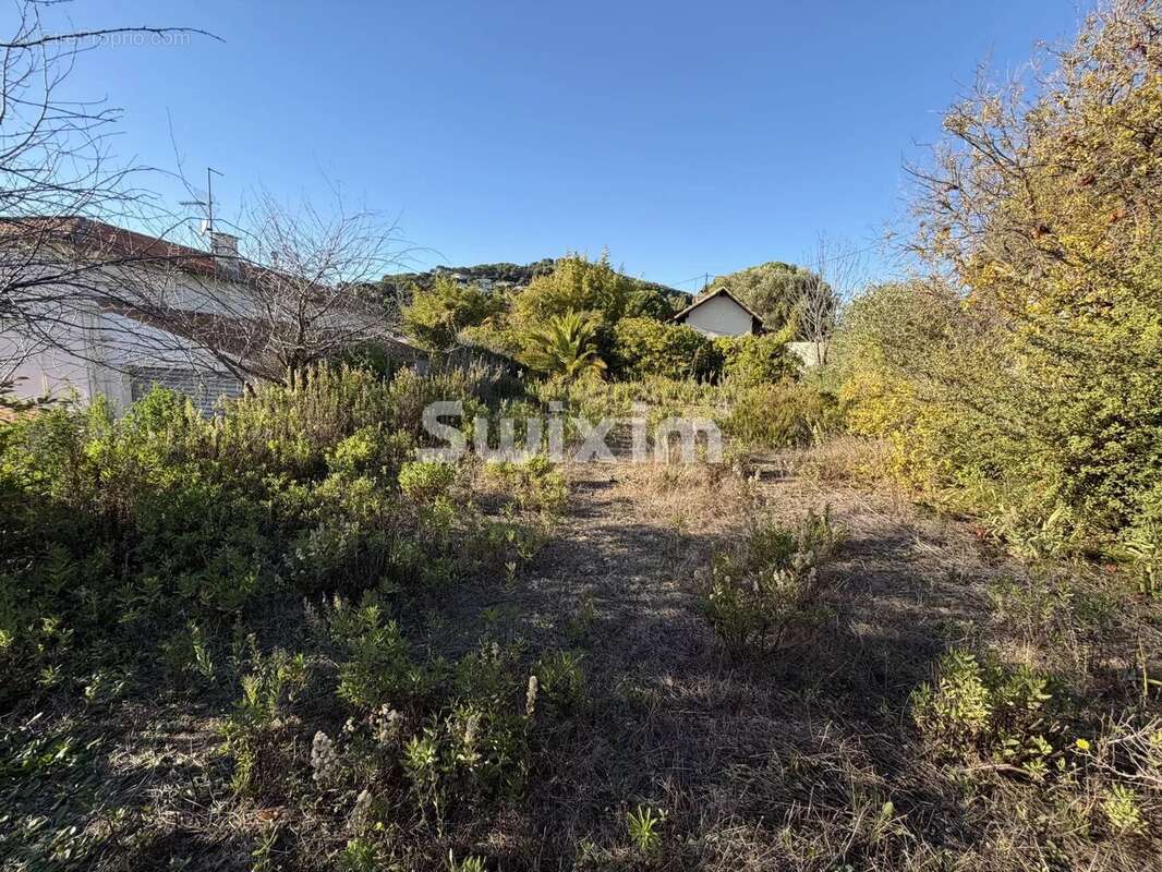 TERRAIN Constructible - photo 4