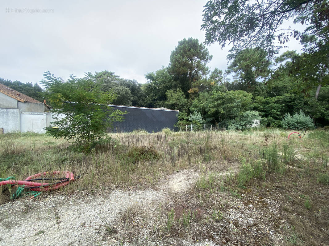 Terrain à SAINT-PALAIS-SUR-MER