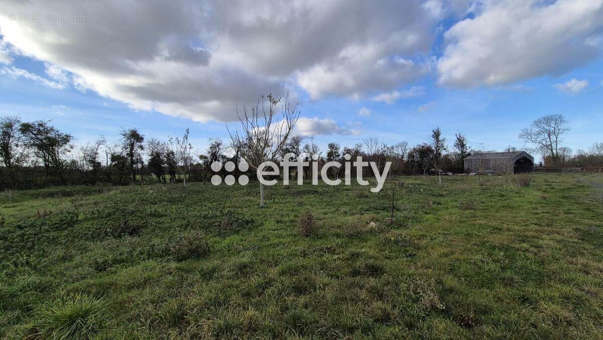 Maison 40 m² à Bazenville  - photo 9