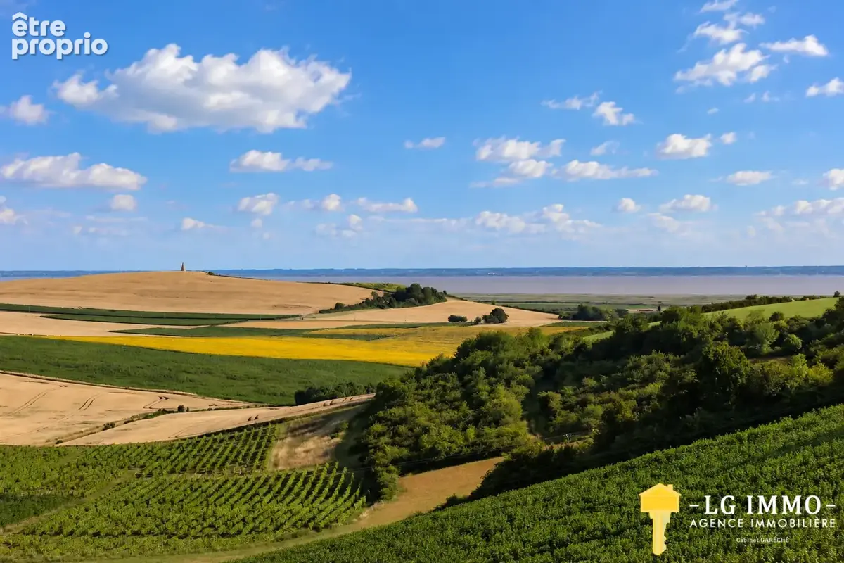 Vue magnifique sur l’estuaire pour cette authentique propriété viticole et ses grandes dépendances en pierres - photo 2
