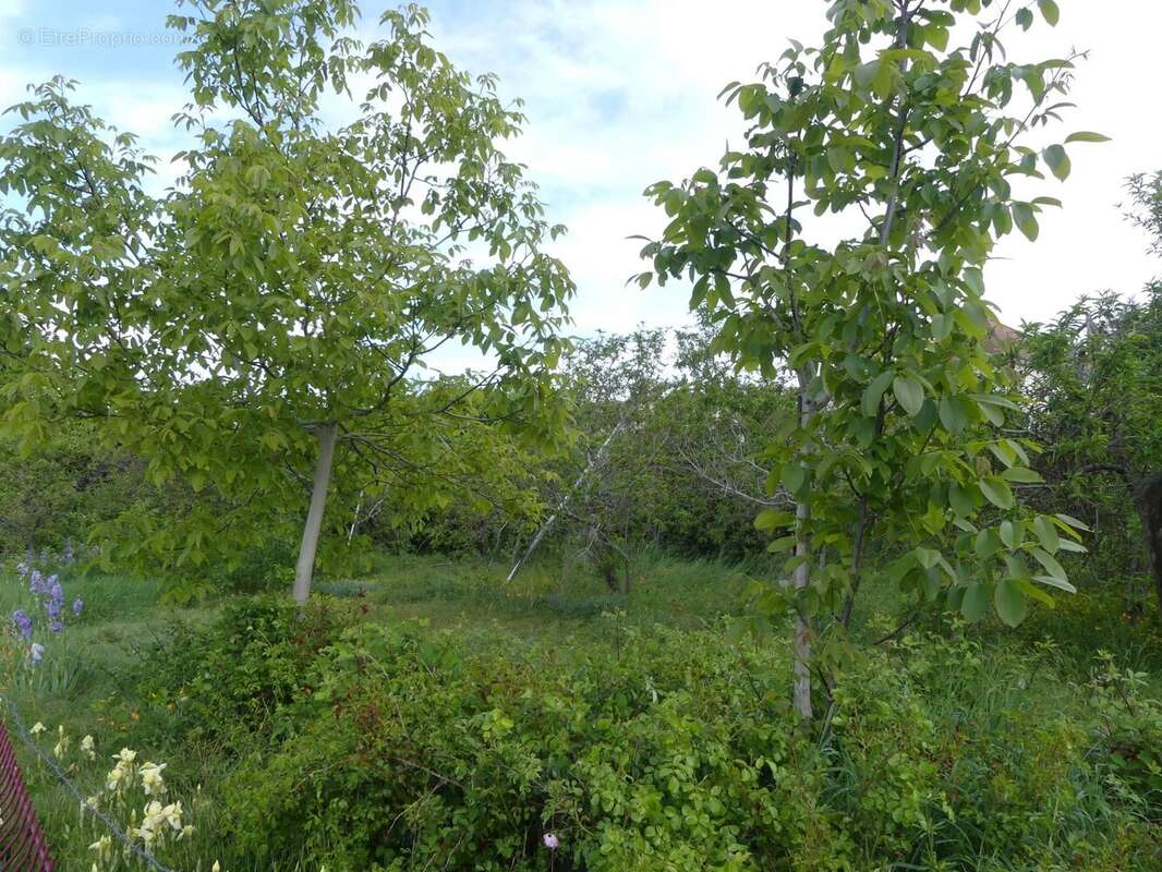 Terrain à LE CREUSOT