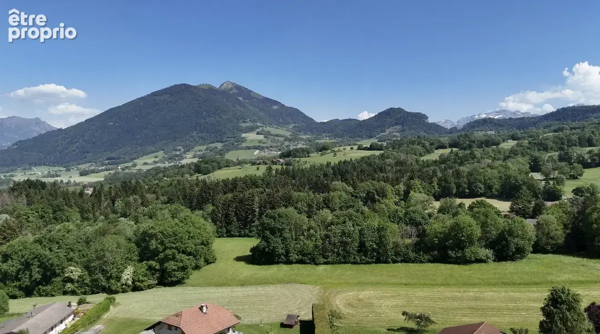 Magnifique maison a peillonex avec une tres belle vue sur les montagnes - photo 2