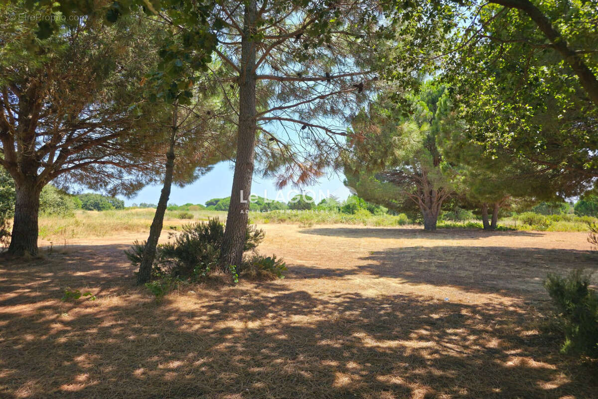 Terrain 308 m² à Latour-Bas-Elne  - photo 2