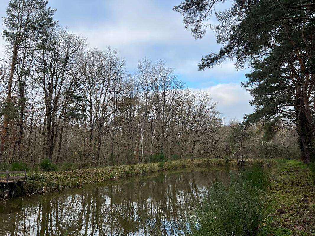 Terrain à VILLEFRANCHE-SUR-CHER