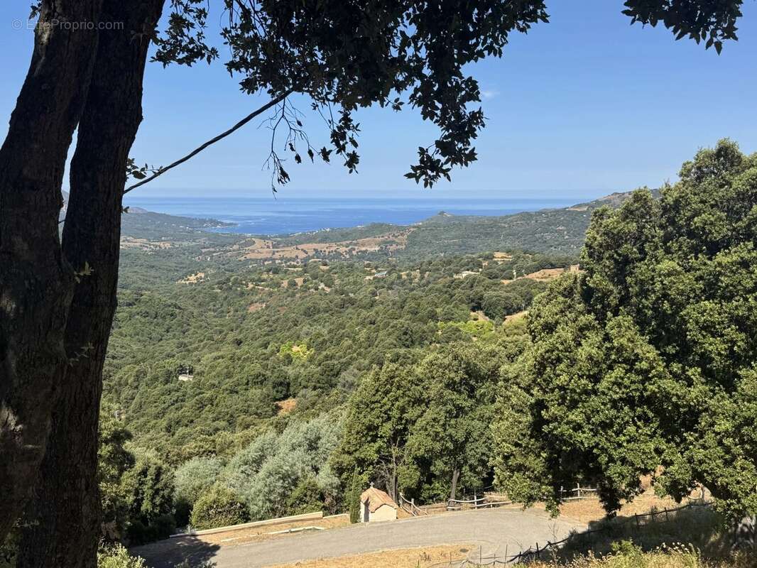 Maison à SARI-D'ORCINO