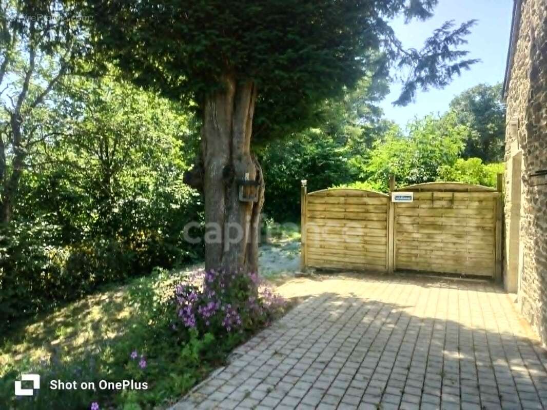 Propriété de charme – 3 gîtes au cœur de la nature - photo 12