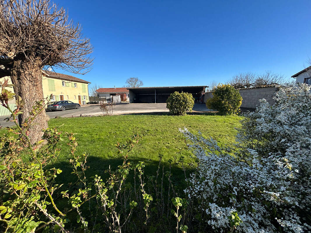 Terrain à DOMPIERRE-SUR-CHALARONNE