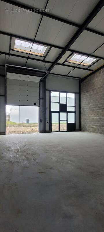 Commerce 150 m² à Trevoux  - photo 8