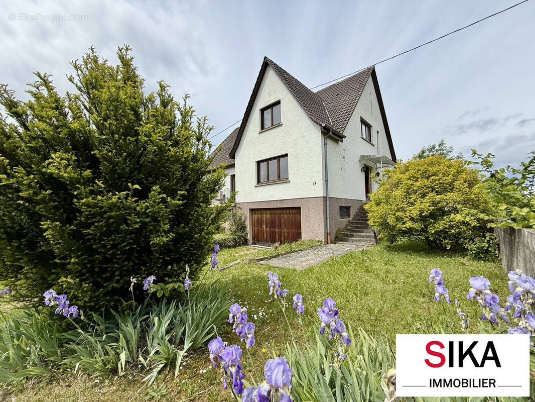 Maison à STUTZHEIM-OFFENHEIM