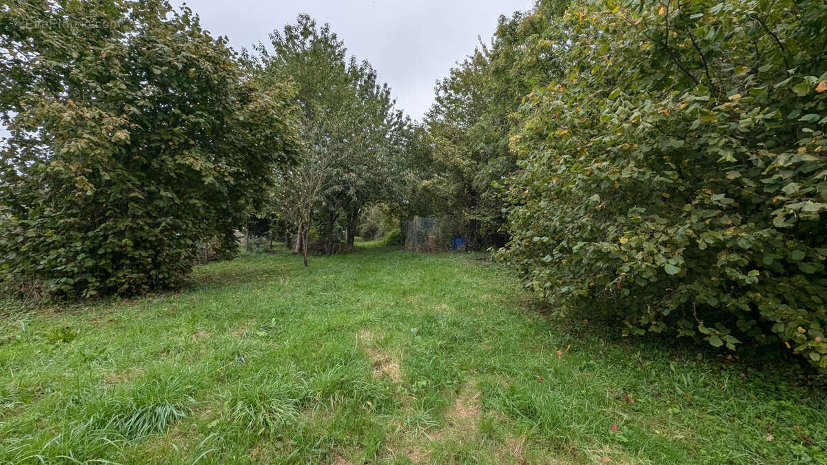 Terrainde 2350m2 sur le secteur de Quillebeuf-sur-seine - photo 3