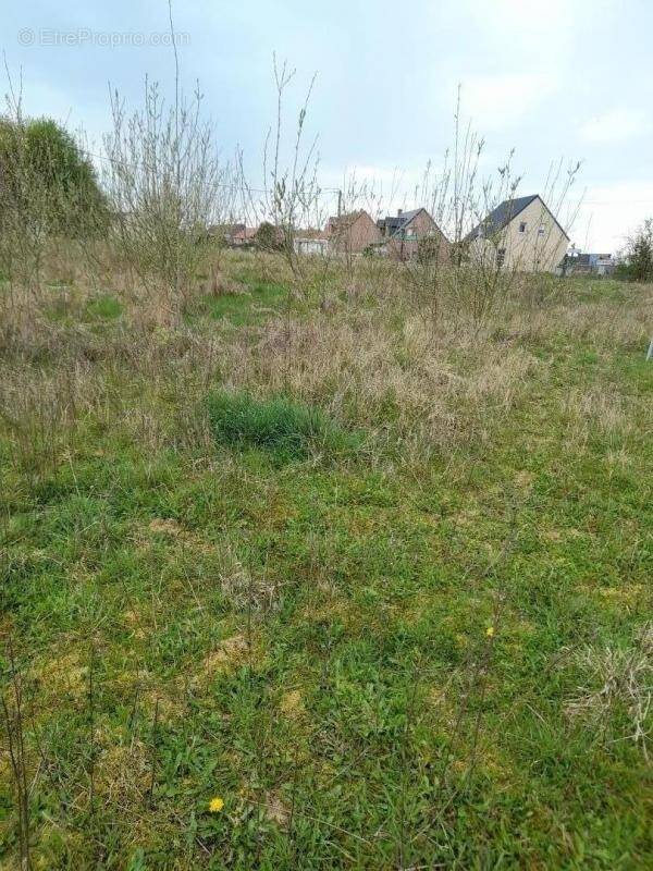 Terrain à BERTINCOURT