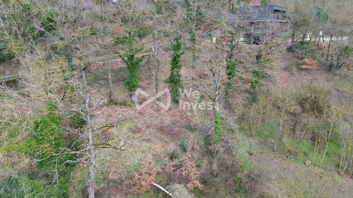 Terrain à LE MONASTERE