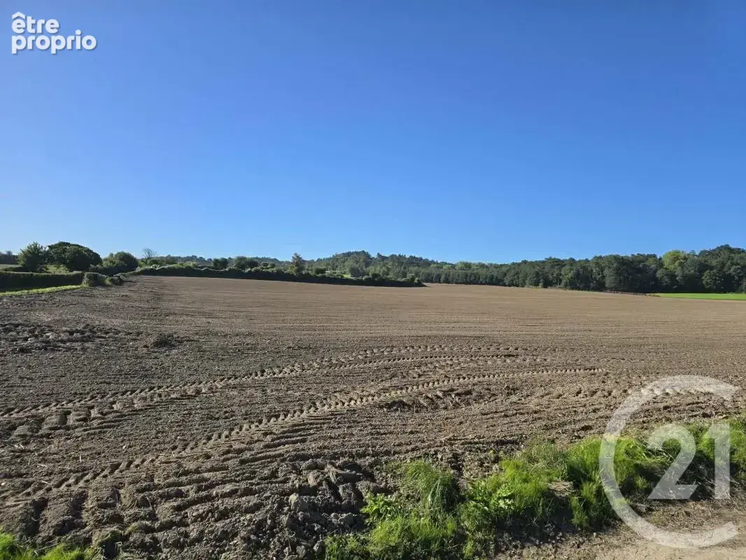 Maison 4 pièces 69 m² à vendre à Neufchatel-Hardelot (62152) - photo 12