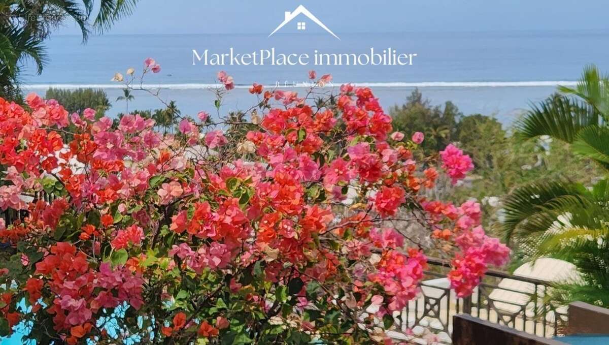 jardin tropical - Maison à SAINT-PAUL