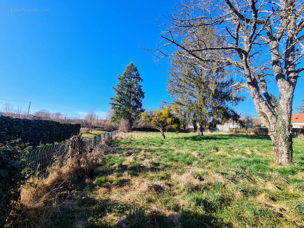 Maison à BEAUMONT-LA-FERRIERE