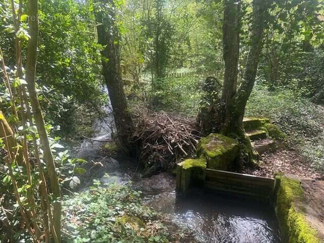 Maison à DIVONNE-LES-BAINS