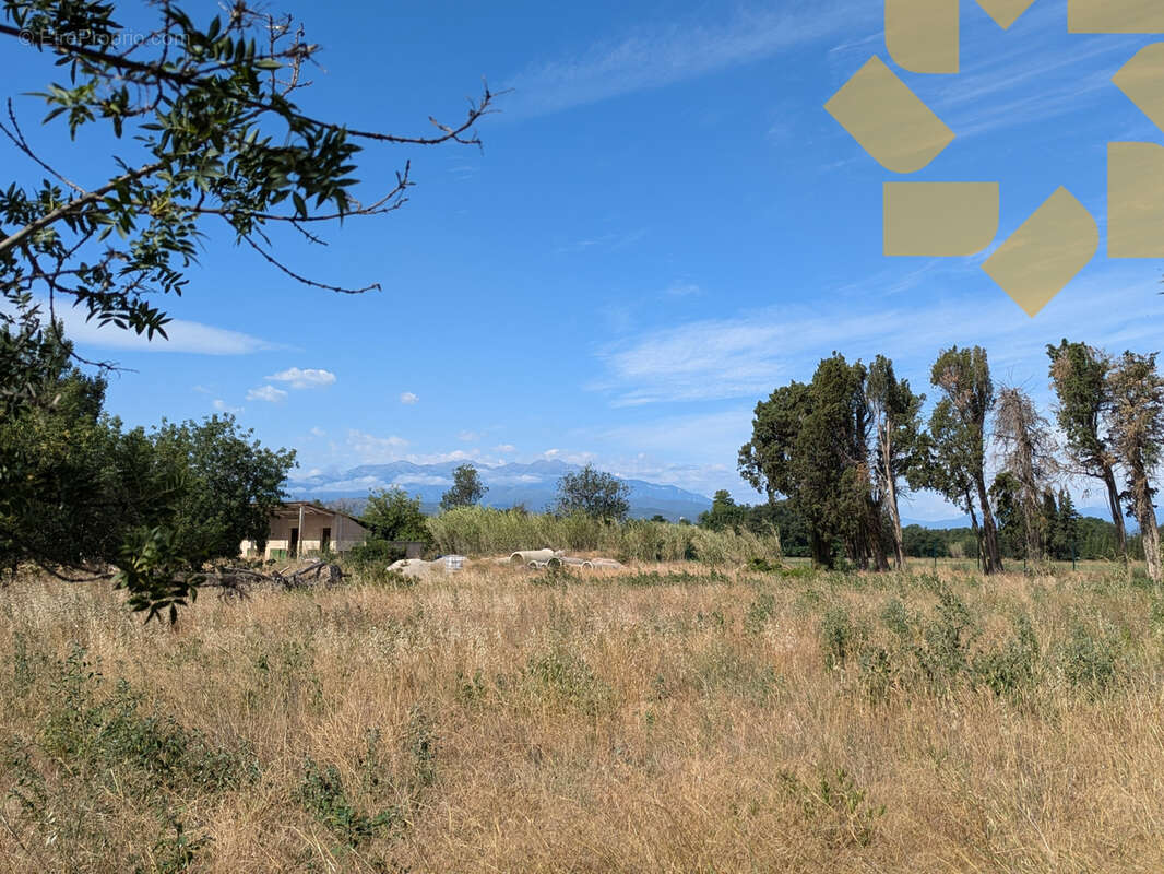 Terrain à PEZILLA-LA-RIVIERE