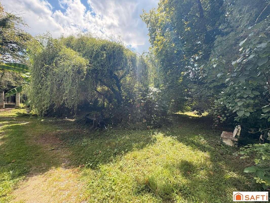 Photo 4 - Maison à MAULEON-LICHARRE