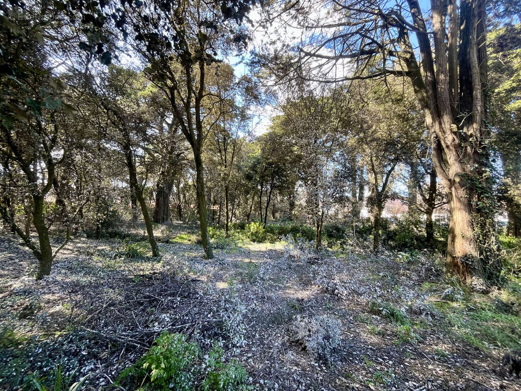 Terrain à L&#039;EPINE