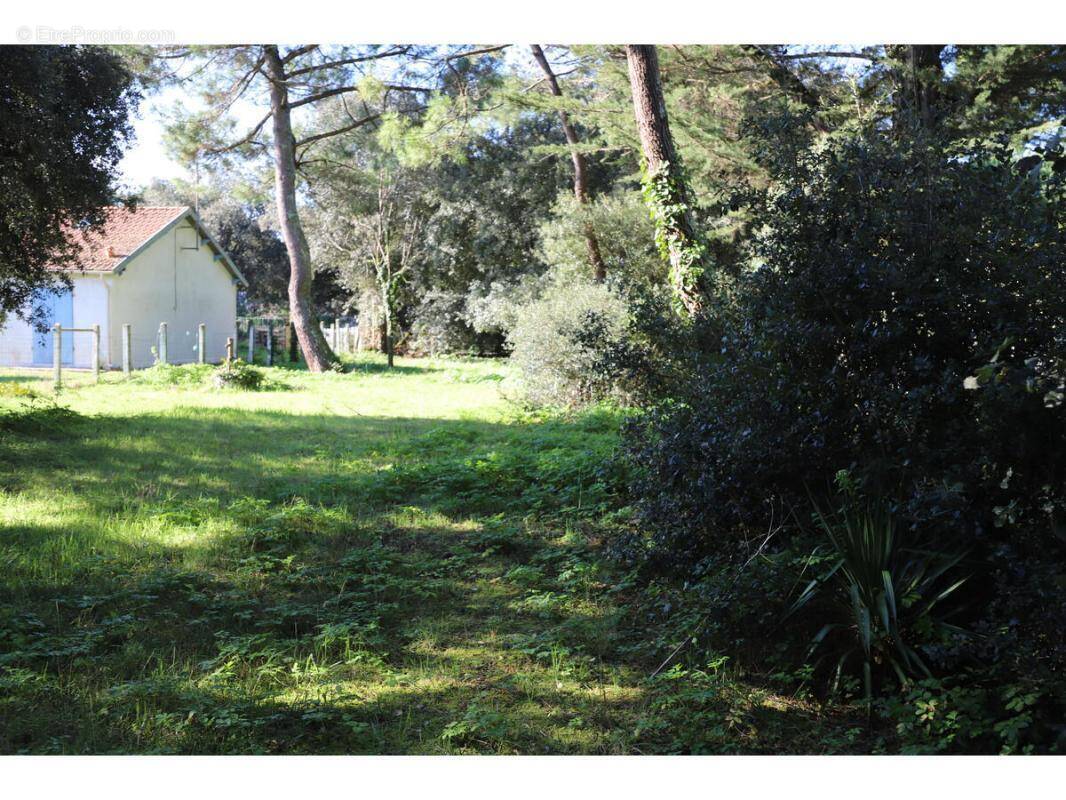 Terrain à SAINT-GEORGES-D'OLERON
