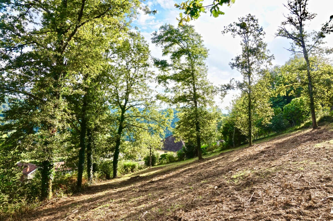 Terrain à SAINT-HILAIRE-PEYROUX