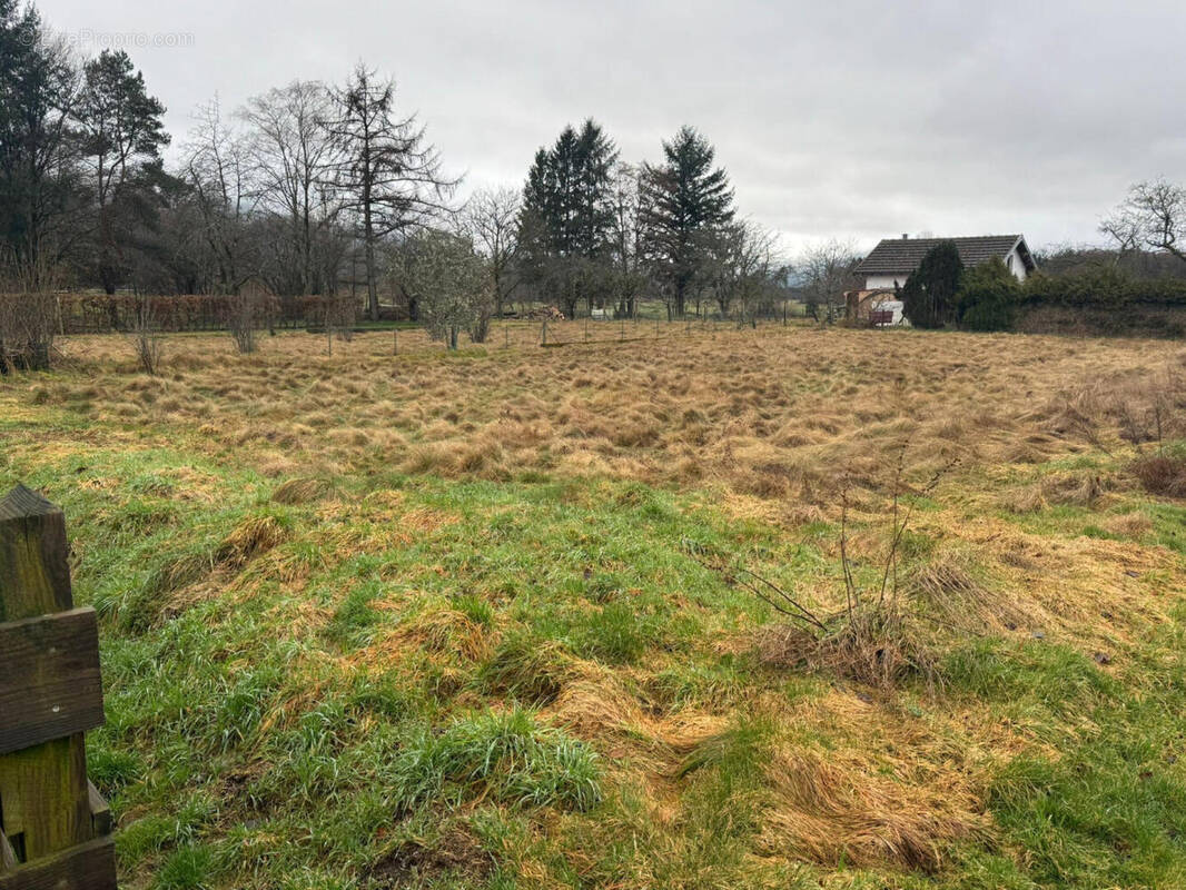 21 - Terrain à SAINT-AME