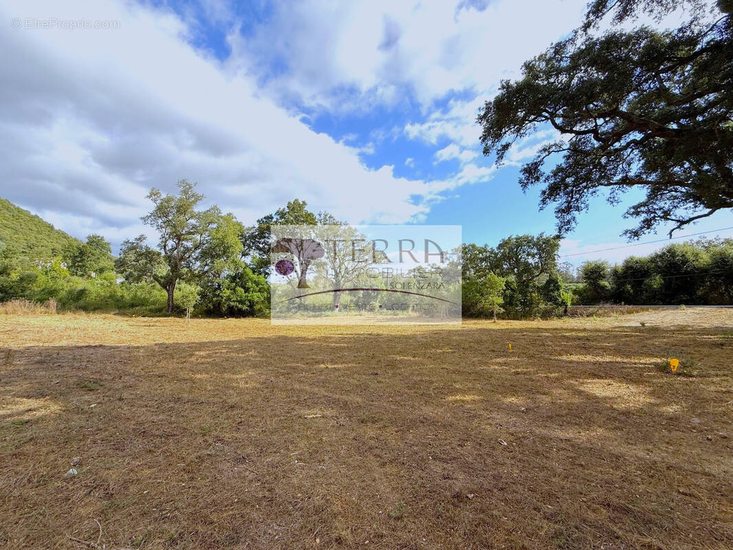 Terrain à SERRA-DI-FIUMORBO