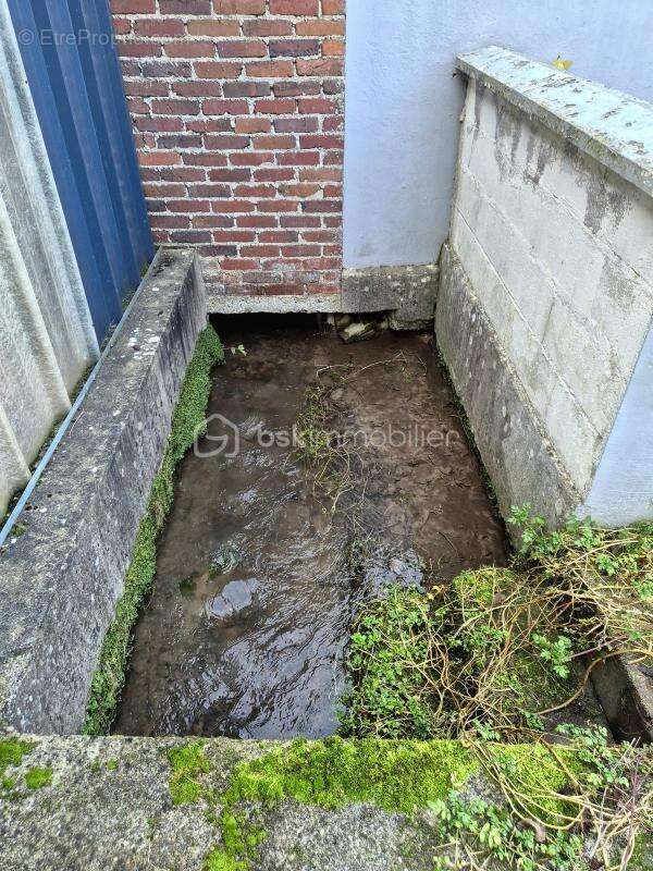 Appartement à AUMALE