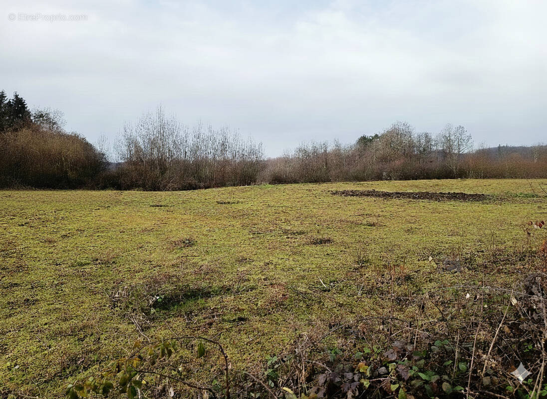 Terrain à RONCHAMP