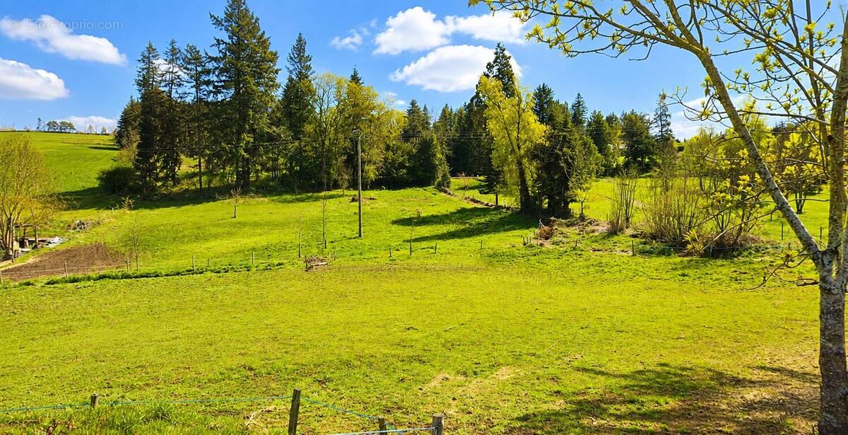 Terrain à BEAUX