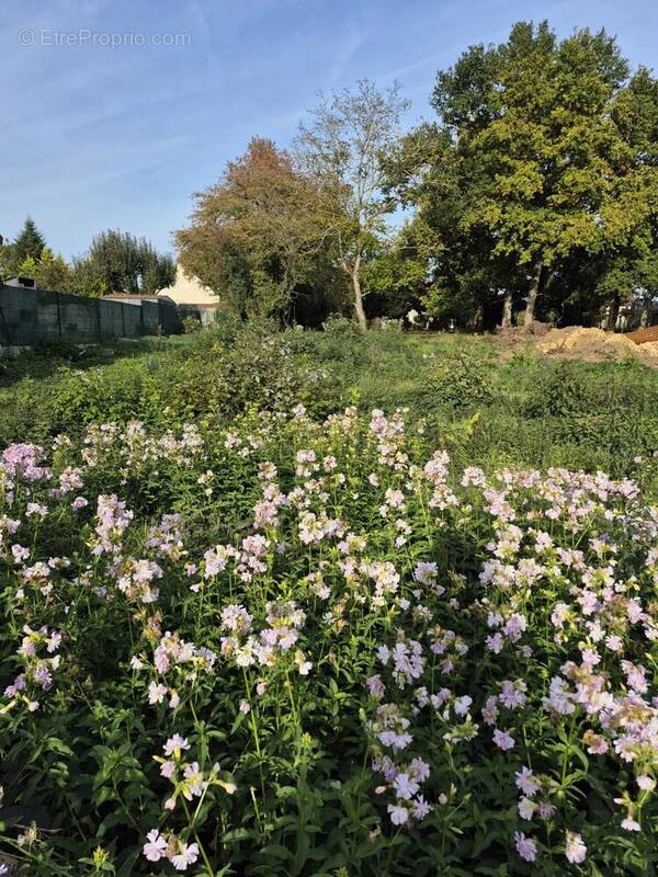Terrain à BERNAY-VILBERT
