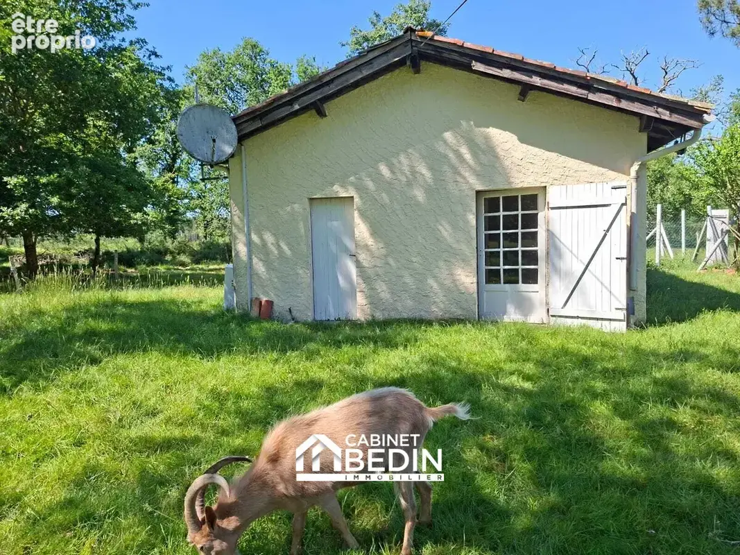Maison 4 pièces 75 m² à vendre à Moustey (40410) - photo 3