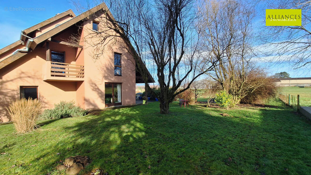 Maison à DANNEMARIE