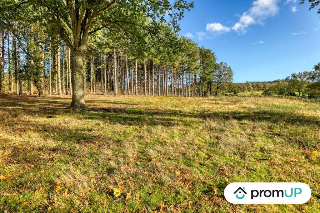 Terrain à SAINT-VICTOR