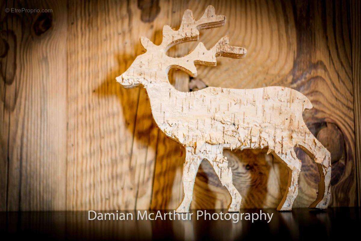 Loft Amenda - photo 28