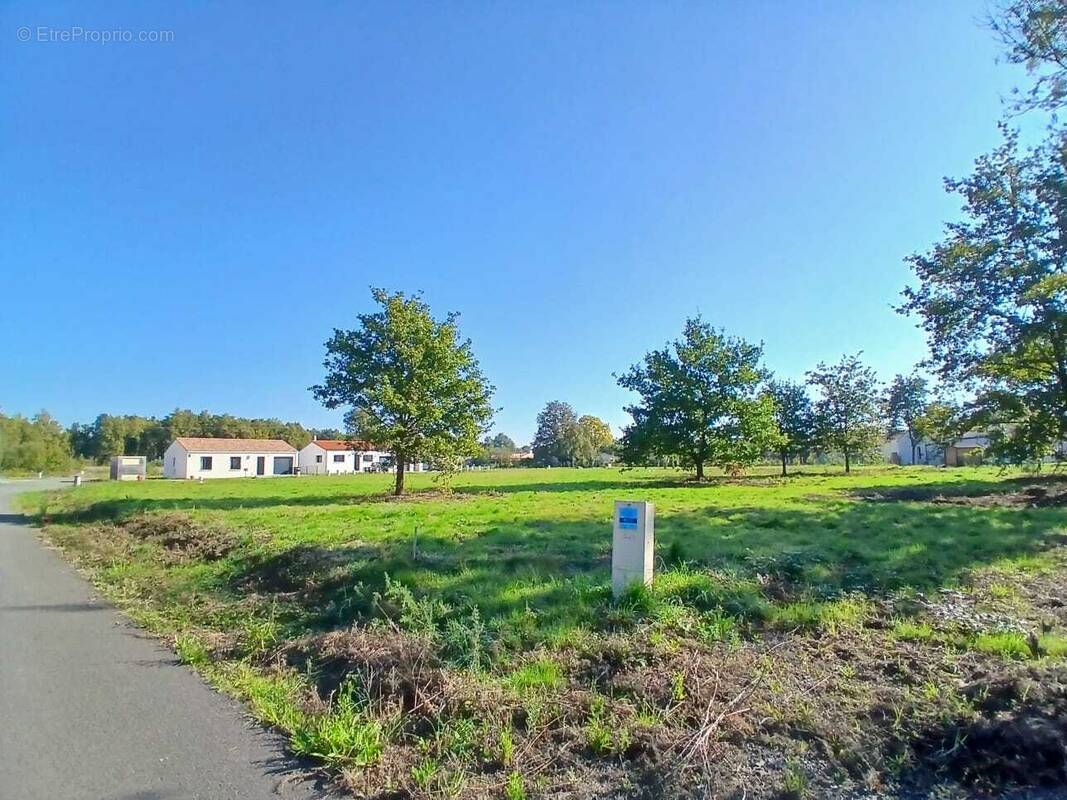 Terrain à SAINT-AIGNAN-GRANDLIEU