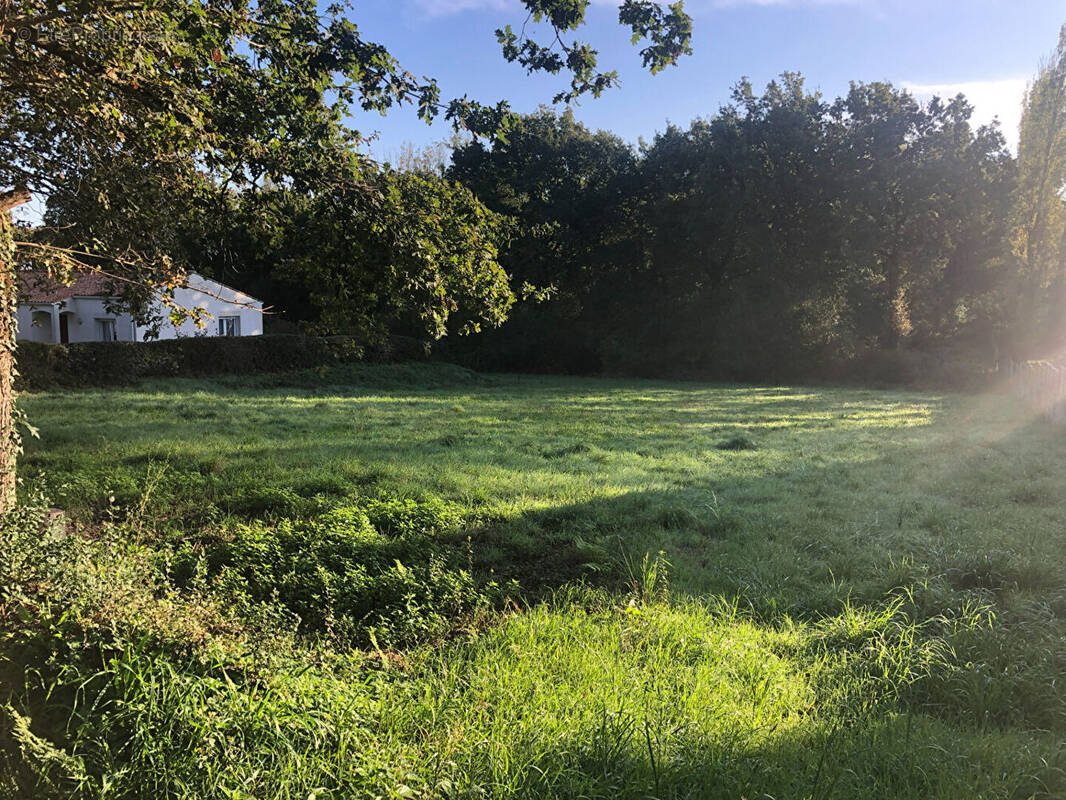 Terrain à SAINTE-FOY