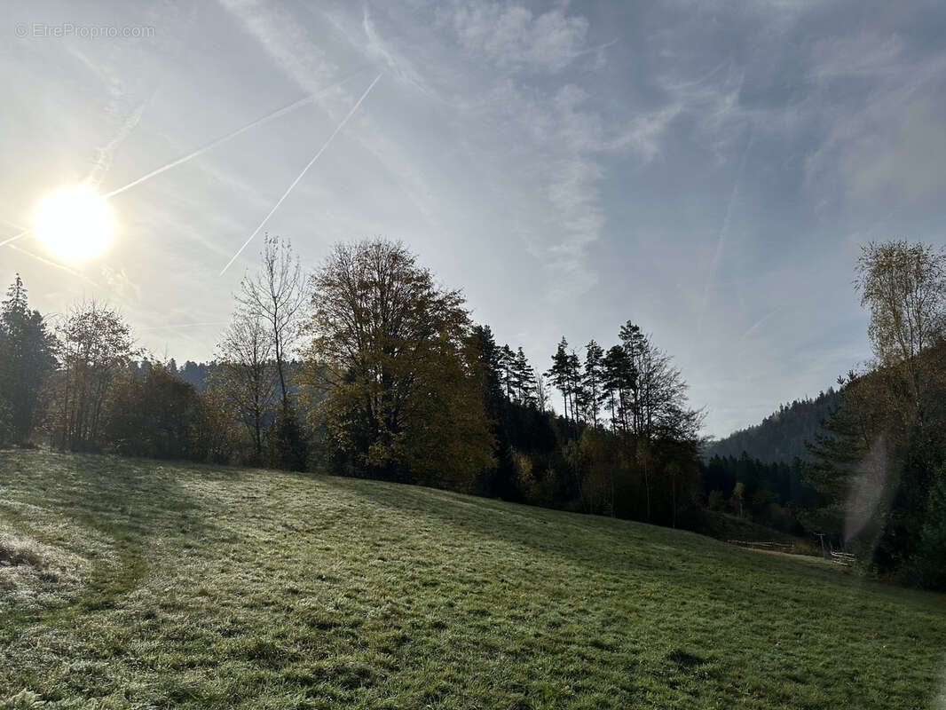 Terrain à GERARDMER