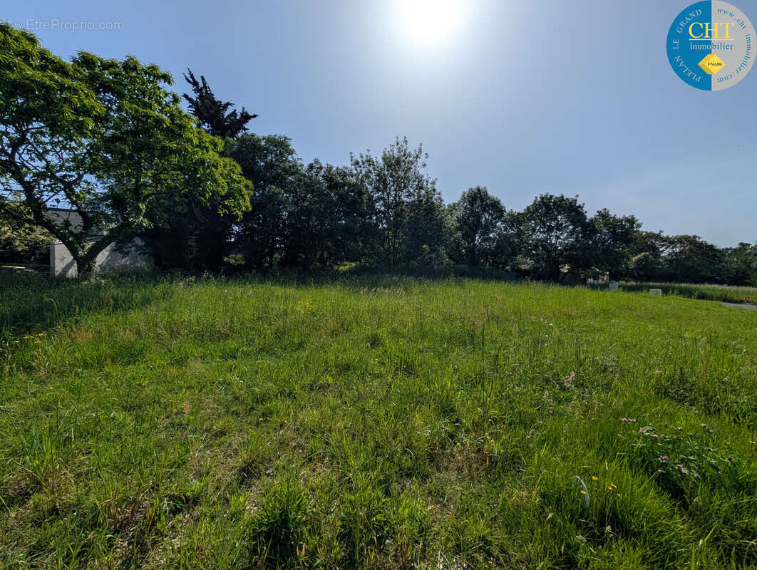Terrain à COMBLESSAC