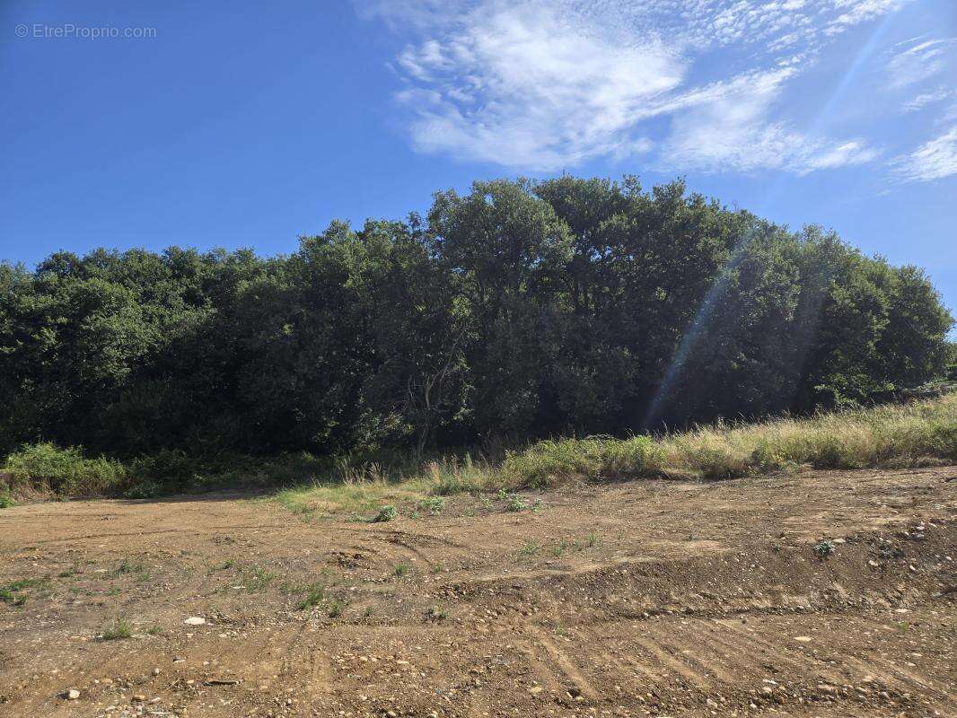 Terrain à SEREZIN-DU-RHONE