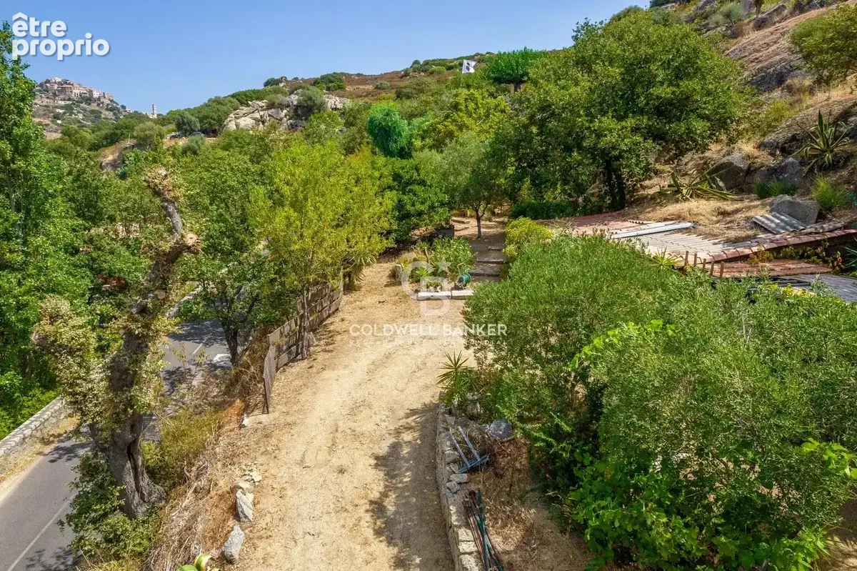 Sant Antonino -  Terrain à bâtir - Vue mer - photo 4